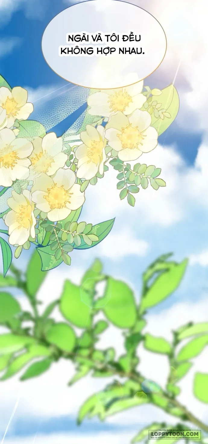 Tôi Được Sinh Ra Là Cô Con Gái Thứ Hai - Chap 65 - Trang 22