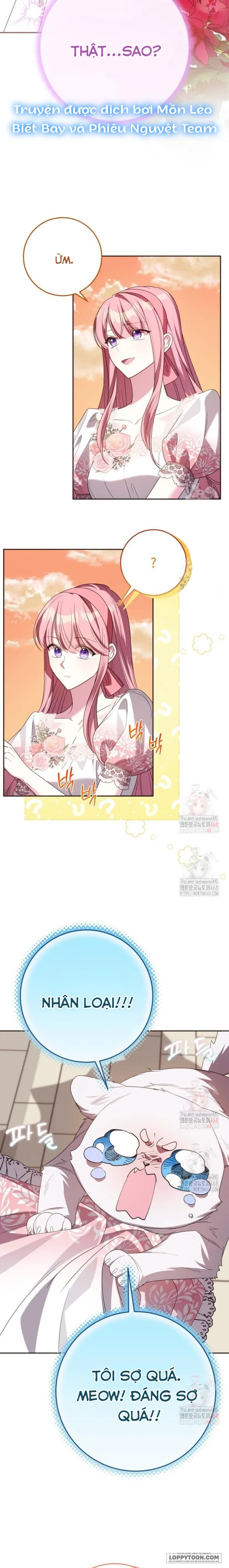 Tôi Gặp Nam Chính Trong Tù - Chap 70 - Trang 2
