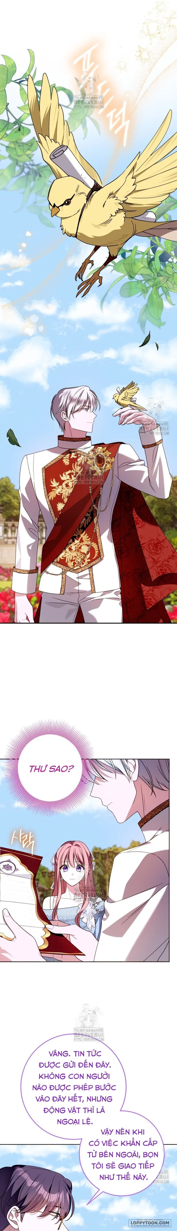 Tôi Gặp Nam Chính Trong Tù - Chap 75 - Trang 17