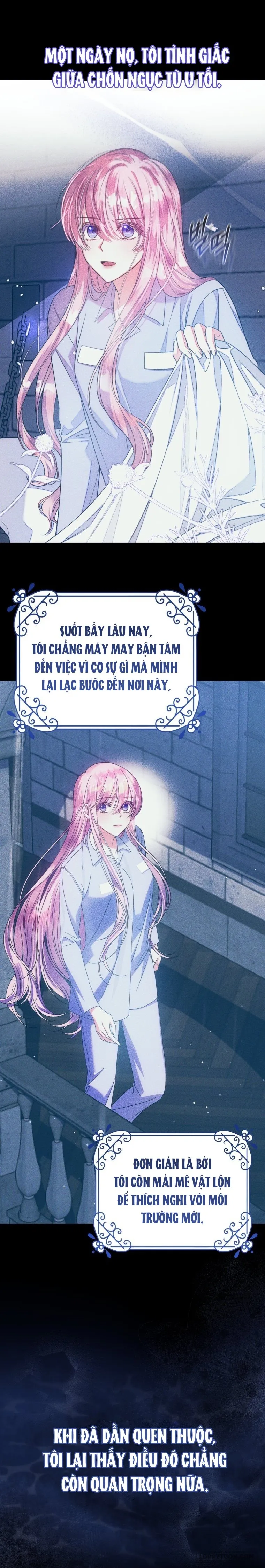 Tôi Gặp Nam Chính Trong Tù - Chap 84 - Trang 9