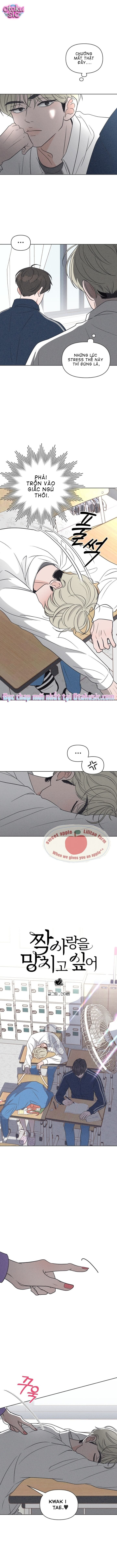 Tôi muốn chấm dứt mối tình đơn phương này! - Chap 10 - Trang 3