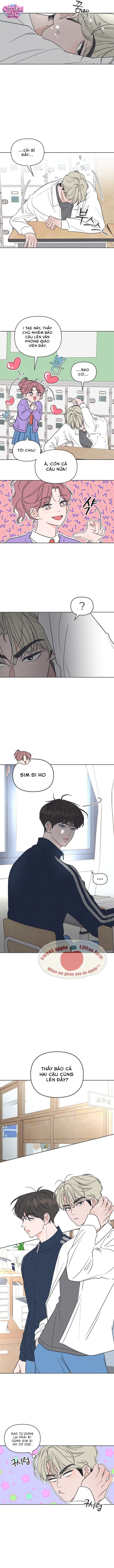 Tôi muốn chấm dứt mối tình đơn phương này! - Chap 10 - Trang 4