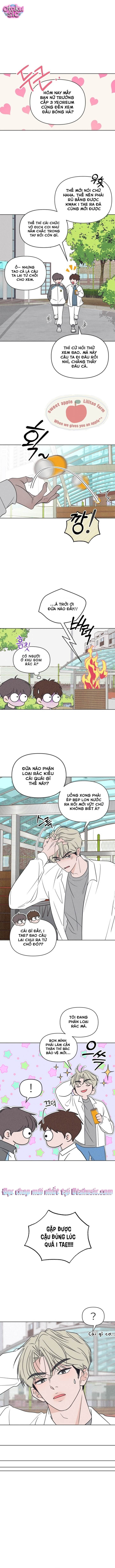 Tôi muốn chấm dứt mối tình đơn phương này! - Chap 11 - Trang 3