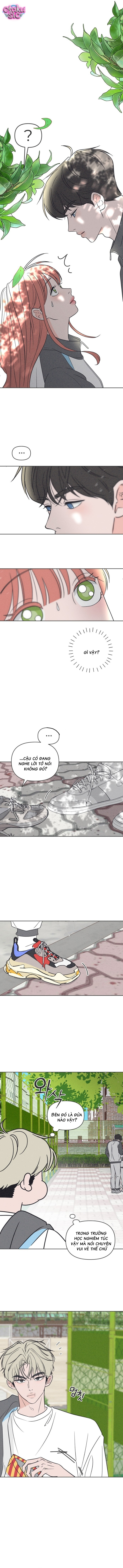 Tôi muốn chấm dứt mối tình đơn phương này! - Chap 6 - Trang 13