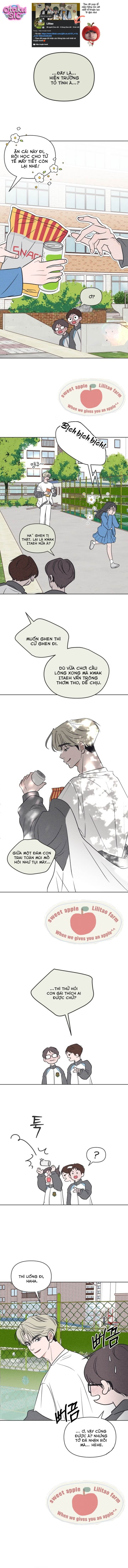 Tôi muốn chấm dứt mối tình đơn phương này! - Chap 7 - Trang 3