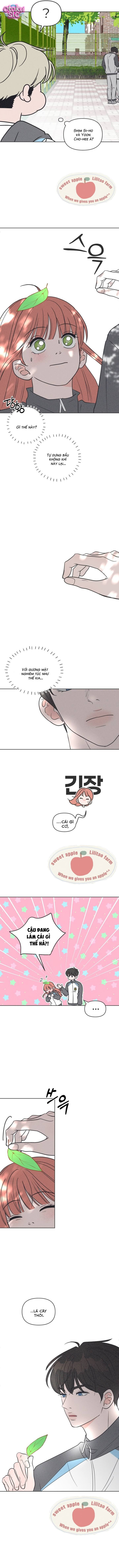 Tôi muốn chấm dứt mối tình đơn phương này! - Chap 7 - Trang 6
