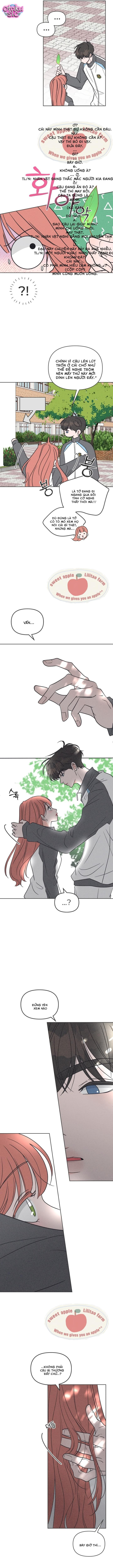Tôi muốn chấm dứt mối tình đơn phương này! - Chap 7 - Trang 7