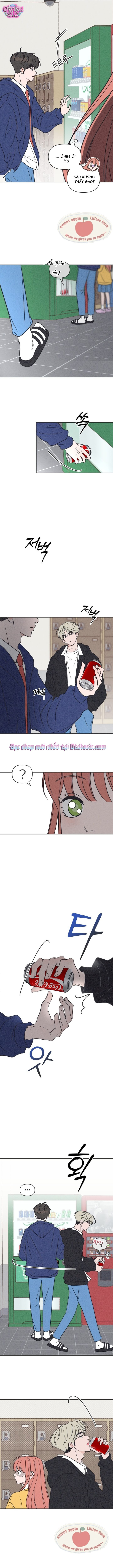 Tôi muốn chấm dứt mối tình đơn phương này! - Chap 8 - Trang 12