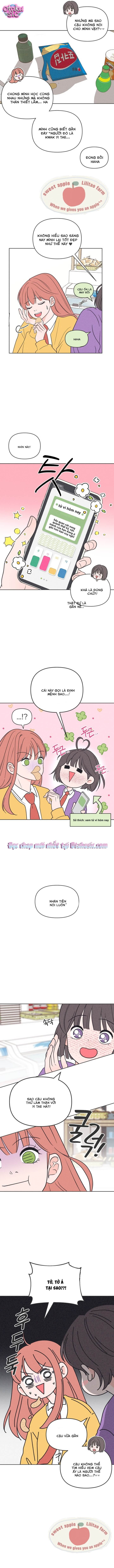 Tôi muốn chấm dứt mối tình đơn phương này! - Chap 8 - Trang 4