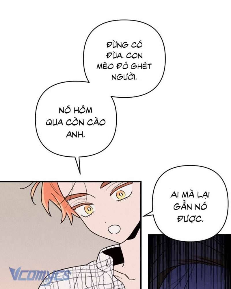 Tối Nay Tôi Là Người Được Cô Ấy Chọn - Chap 1 - Trang 221