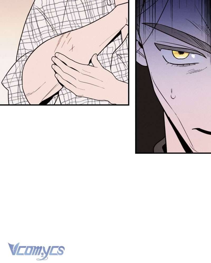 Tối Nay Tôi Là Người Được Cô Ấy Chọn - Chap 1 - Trang 222