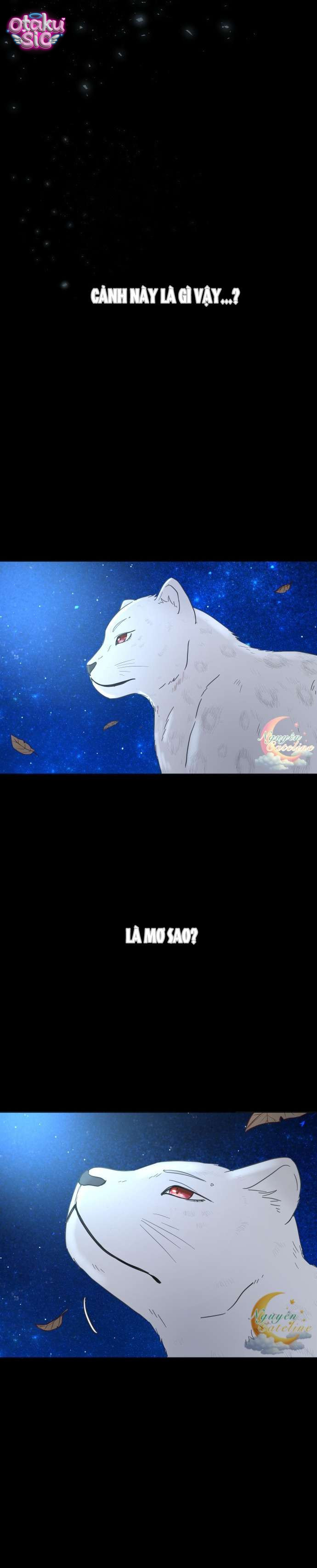 Tôi Nhận Nuôi Nam Chính Từ Trại Bảo Hộ Thú Nhân. - Chap 11 - Trang 2