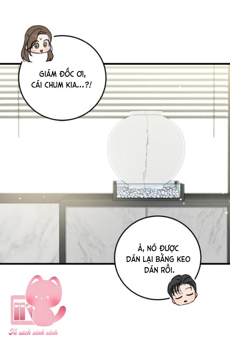 Tôi Nóng Lòng Muốn Chiếm Lấy Cô Ấy - Chap 39 - Trang 27