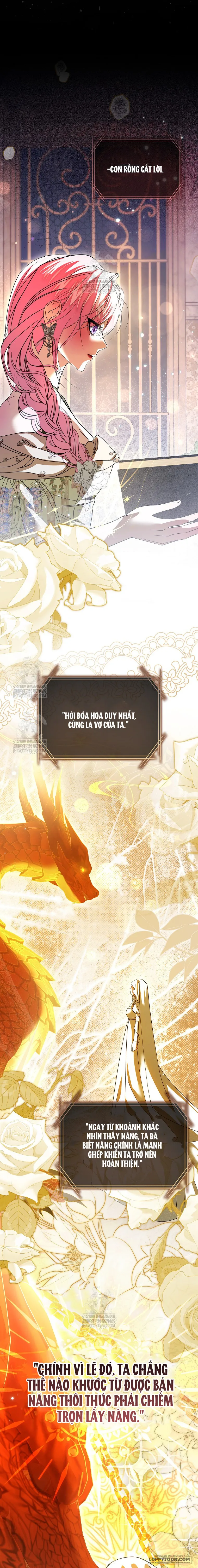 Tôi Sẽ Đổi Chồng Trước Bằng Hôn Nhân Cướp Đoạt - Chap 15 - Trang 17