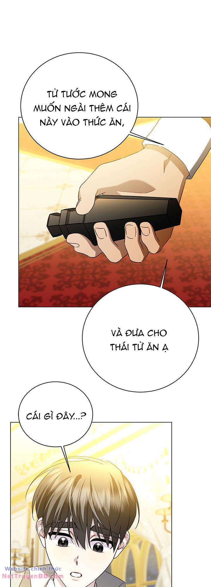 Tôi Sẽ Không Hối Tiếc Vì Anh Đâu - Chap 117 - Trang 10