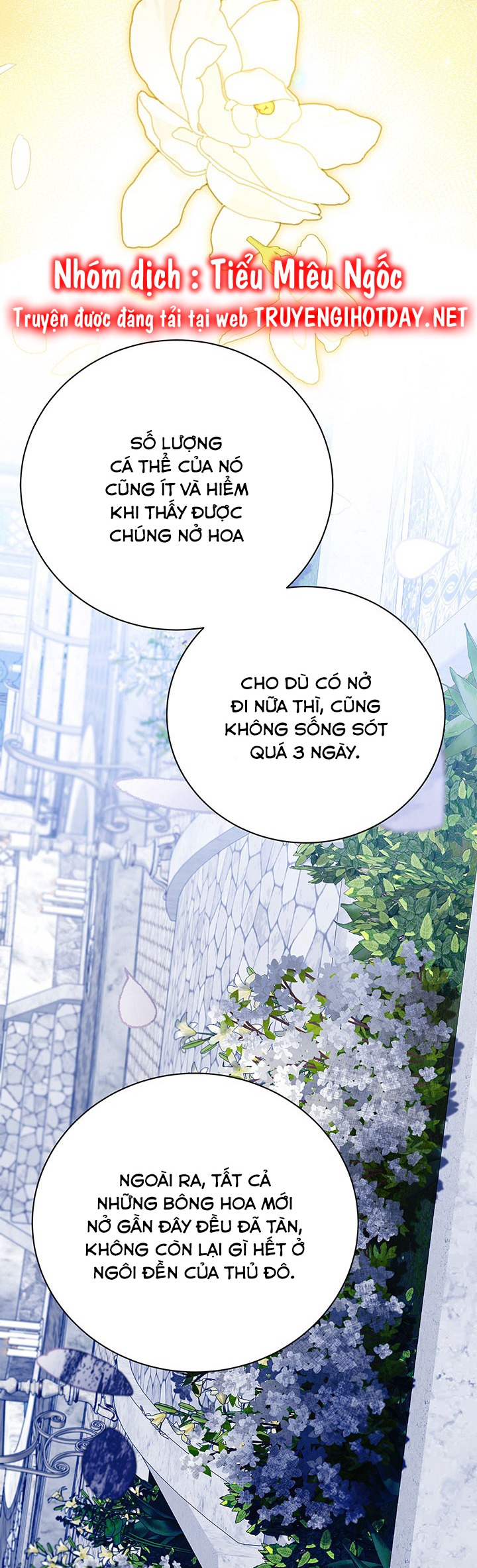 Tôi Sẽ Không Hối Tiếc Vì Anh Đâu - Chap 122 - Trang 25