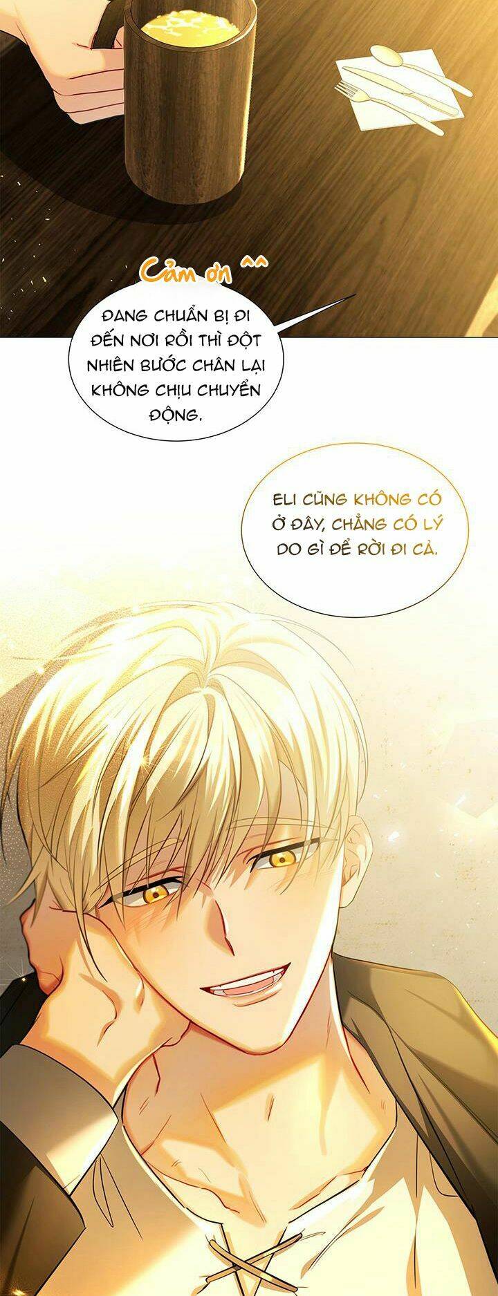 Tôi Sẽ Không Hối Tiếc Vì Anh Đâu - Chap 47 - Trang 3
