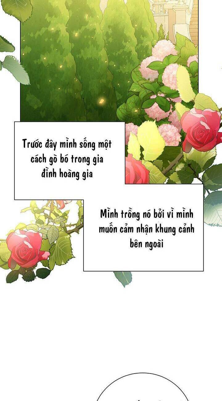 Tôi Sẽ Không Hối Tiếc Vì Anh Đâu - Chap 73 - Trang 31