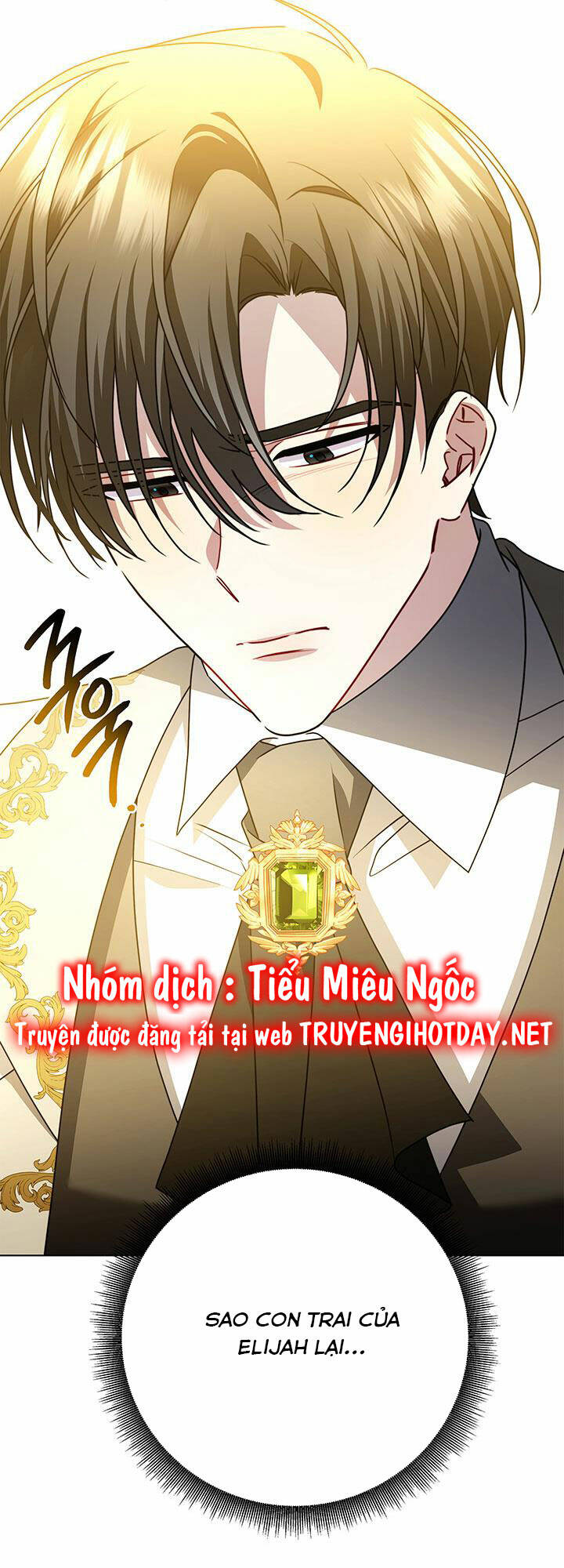 Tôi Sẽ Không Hối Tiếc Vì Anh Đâu - Chap 94 - Trang 14
