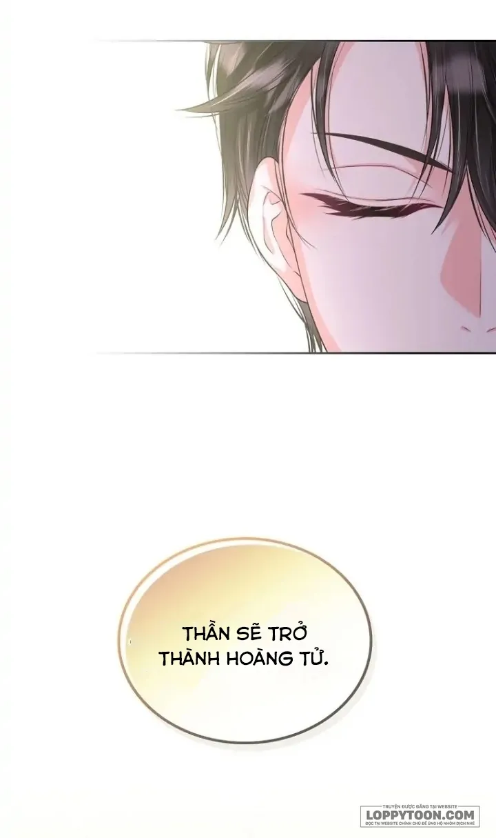 Tôi Sẽ Ly Hôn Với Anh Trai Nữ Chính - Chap 11 - Trang 12