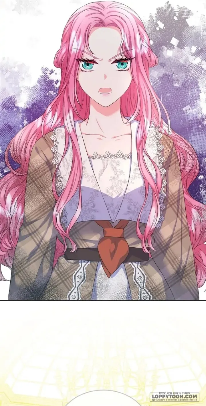 Tôi Sẽ Ly Hôn Với Anh Trai Nữ Chính - Chap 13 - Trang 11