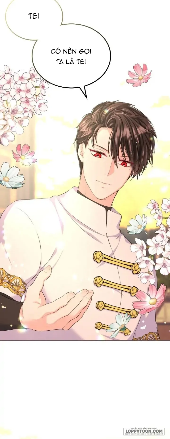 Tôi Sẽ Ly Hôn Với Anh Trai Nữ Chính - Chap 15 - Trang 8