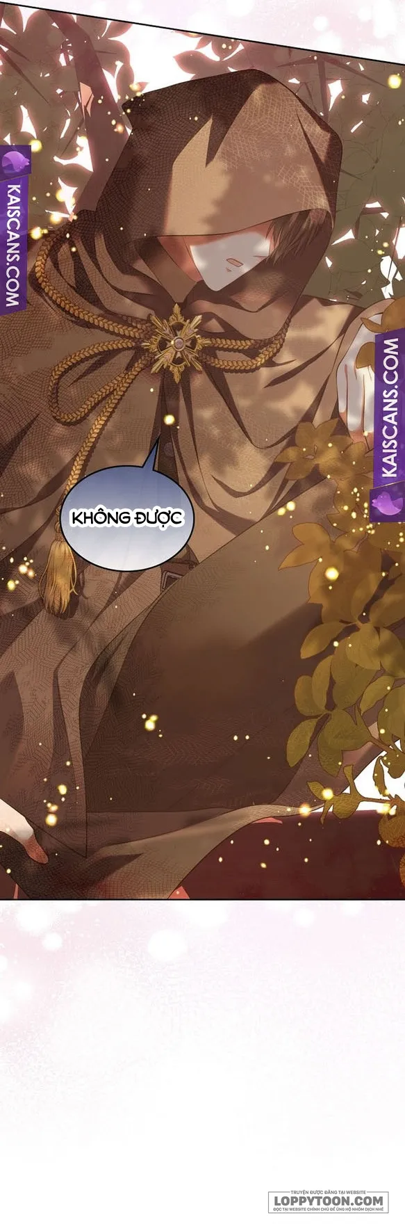 Tôi Sẽ Ly Hôn Với Anh Trai Nữ Chính - Chap 36 - Trang 51