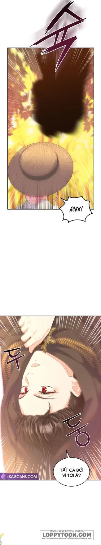 Tôi Sẽ Ly Hôn Với Anh Trai Nữ Chính - Chap 37 - Trang 19