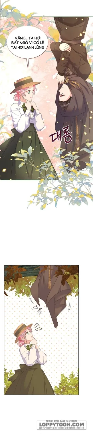 Tôi Sẽ Ly Hôn Với Anh Trai Nữ Chính - Chap 37 - Trang 20