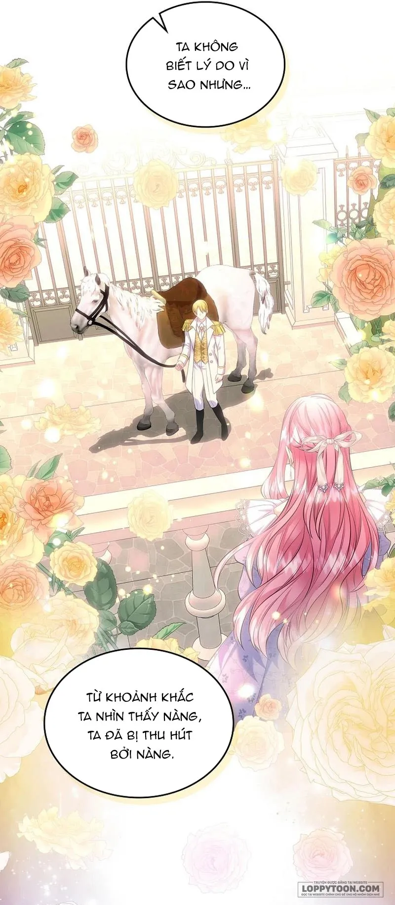 Tôi Sẽ Ly Hôn Với Anh Trai Nữ Chính - Chap 41 - Trang 17