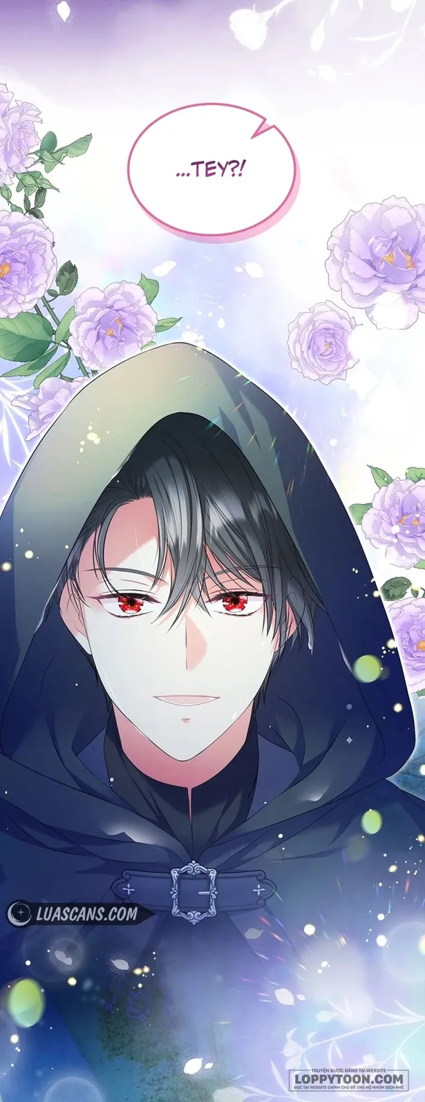 Tôi Sẽ Ly Hôn Với Anh Trai Nữ Chính - Chap 42 - Trang 15