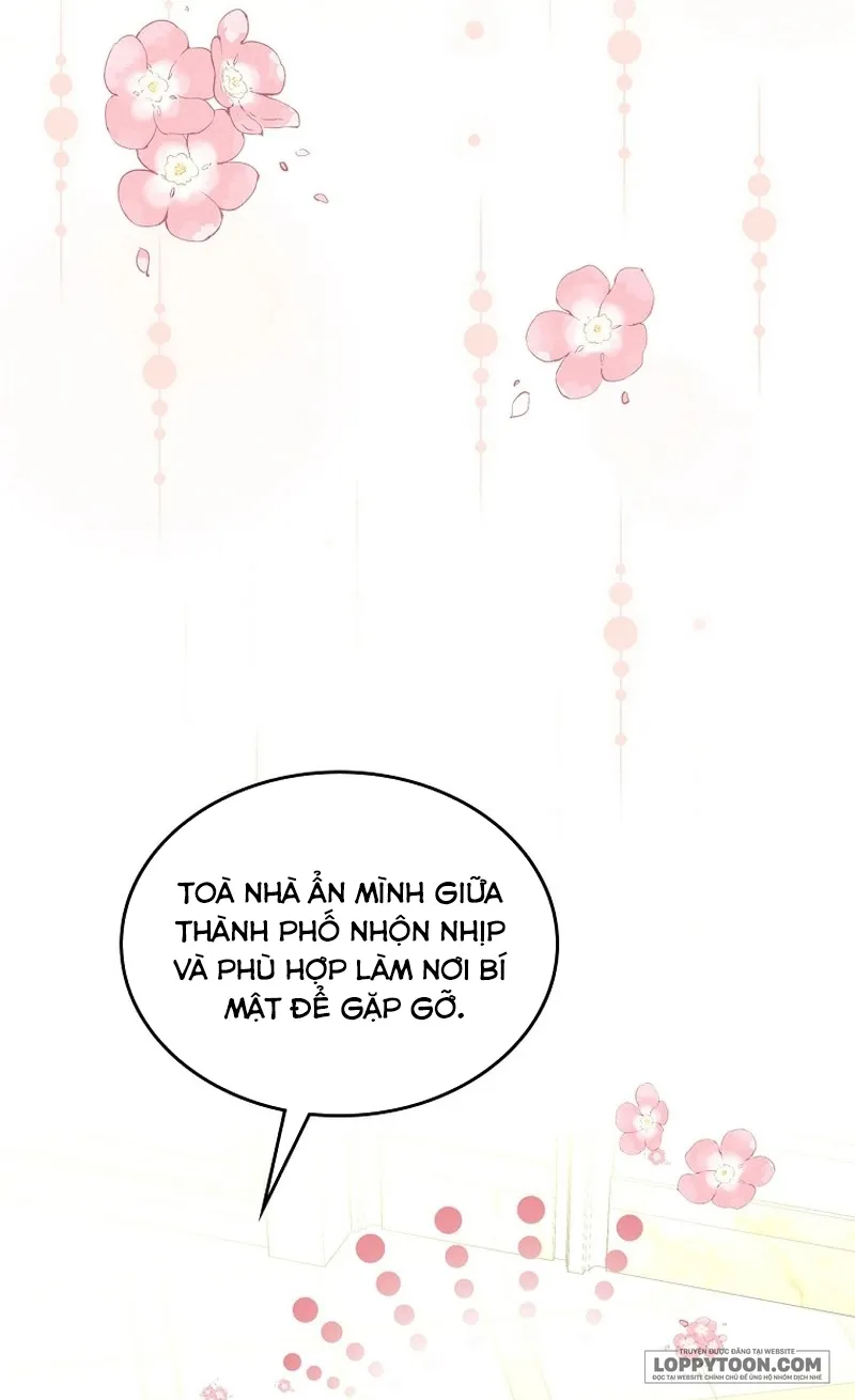 Tôi Sẽ Ly Hôn Với Anh Trai Nữ Chính - Chap 51 - Trang 14