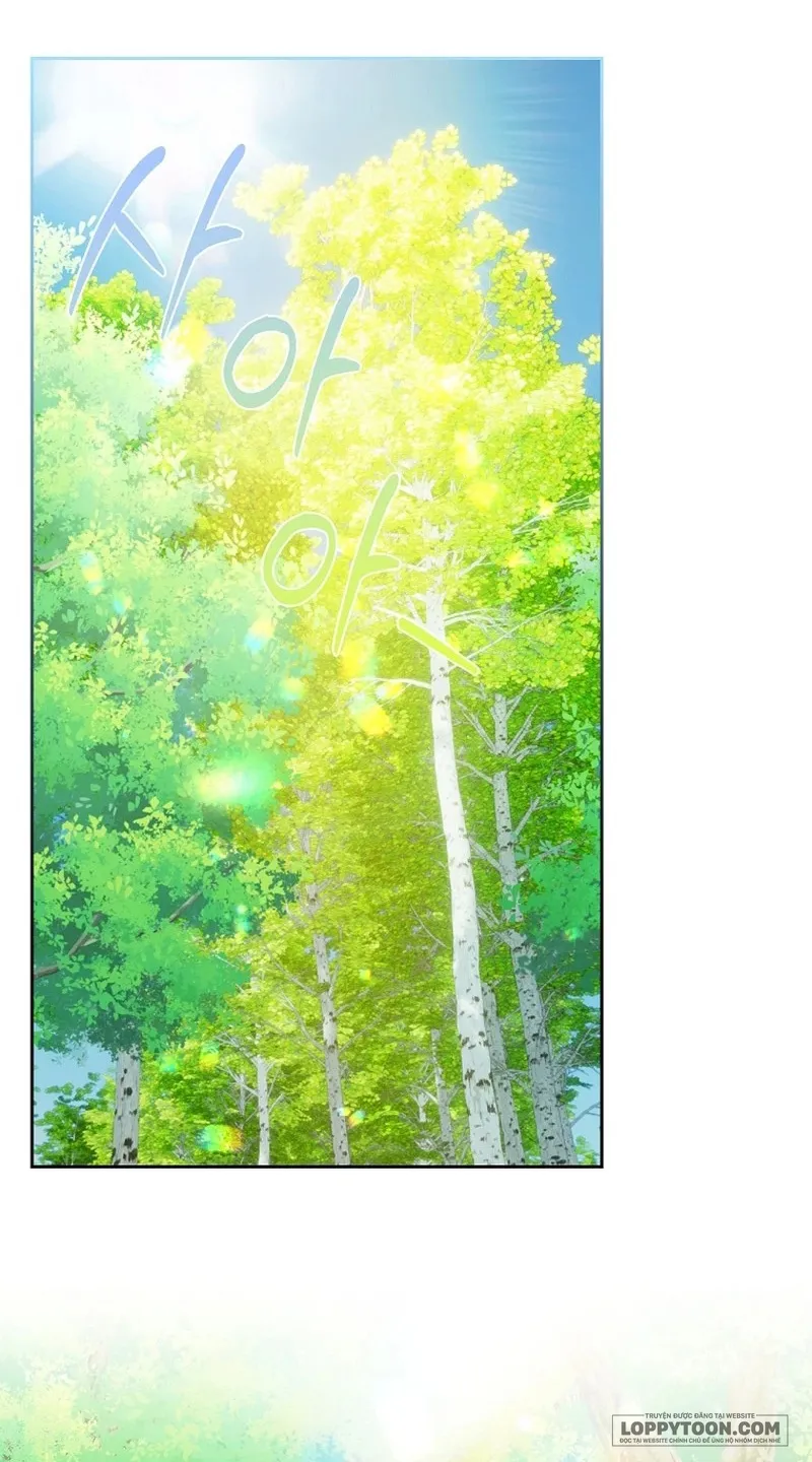 Tôi Sẽ Ly Hôn Với Anh Trai Nữ Chính - Chap 51 - Trang 16