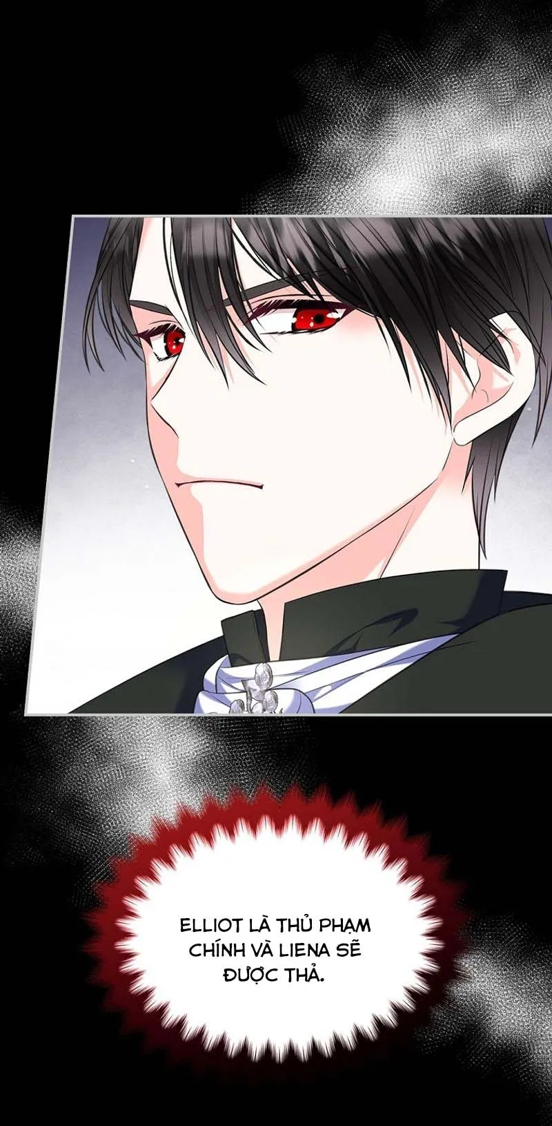 Tôi Sẽ Ly Hôn Với Anh Trai Nữ Chính - Chap 62 - Trang 8
