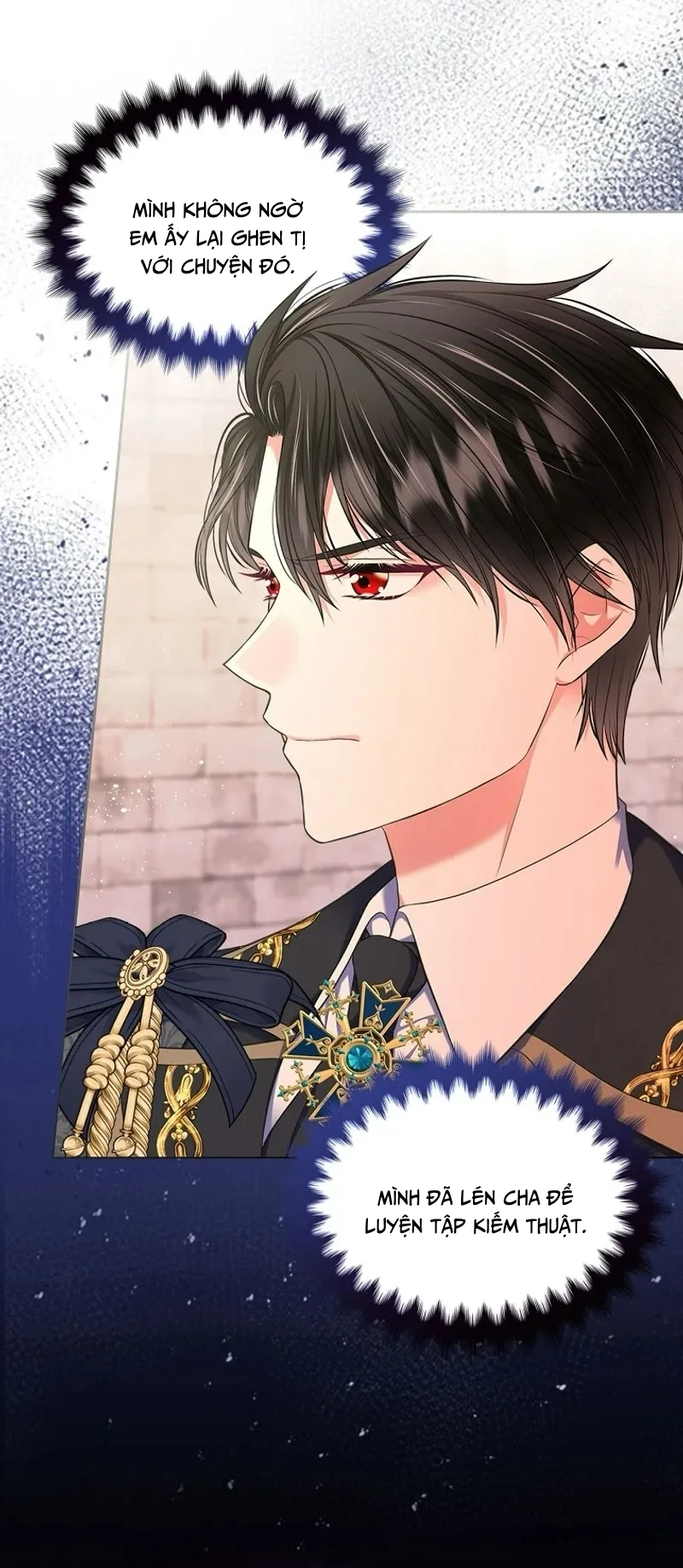 Tôi Sẽ Ly Hôn Với Anh Trai Nữ Chính - Chap 64 - Trang 6