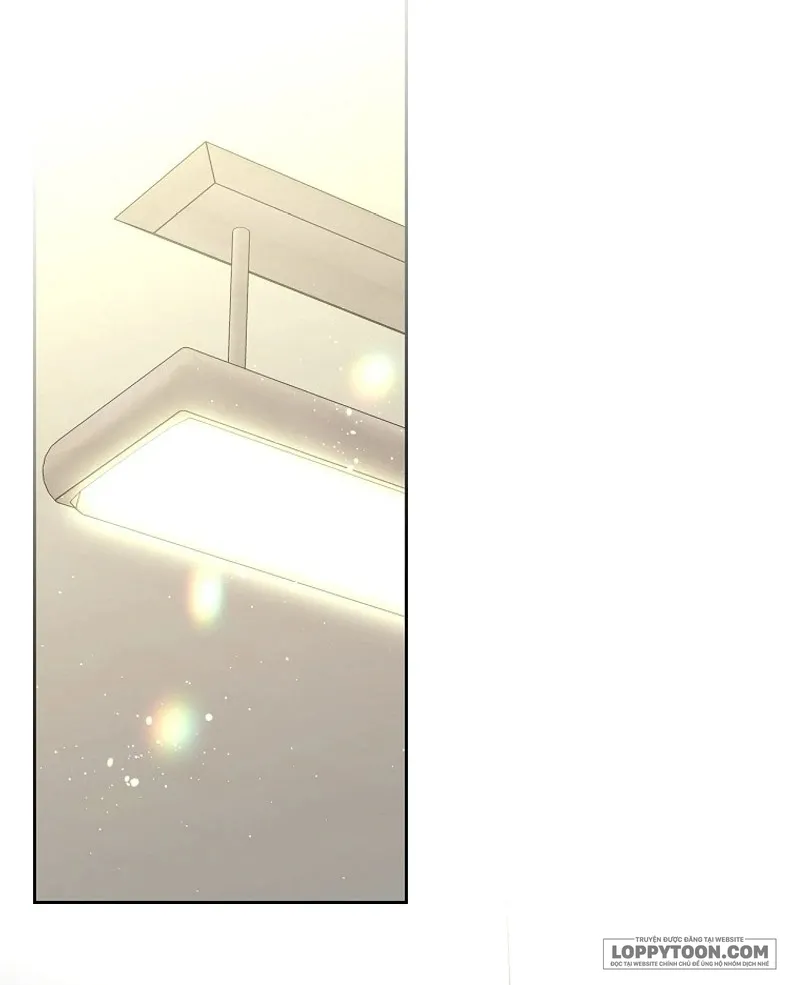 Tôi Sẽ Ly Hôn Với Anh Trai Nữ Chính - Chap 66 - Trang 12