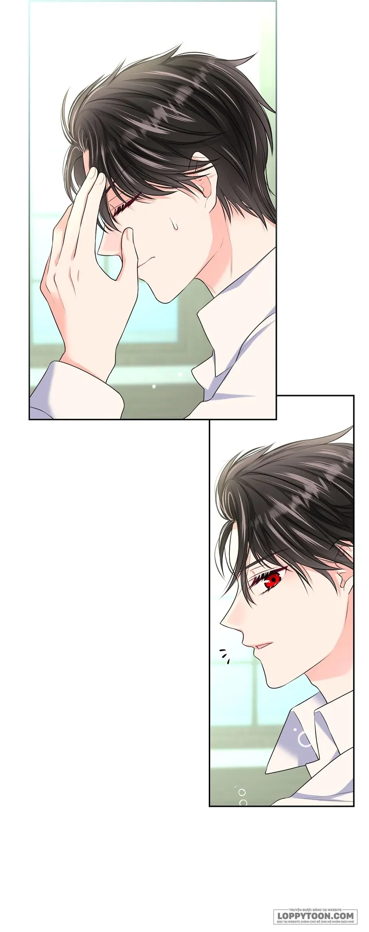 Tôi Sẽ Ly Hôn Với Anh Trai Nữ Chính - Chap 7 - Trang 14