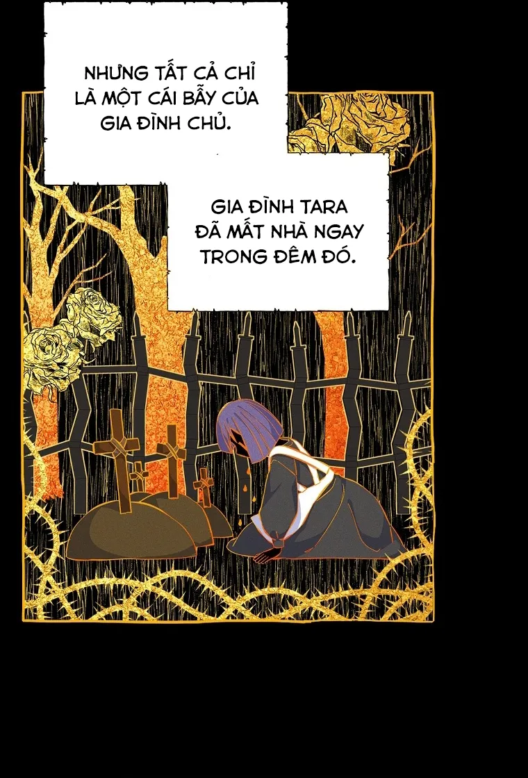Tôi Sẽ Ly Hôn Với Anh Trai Nữ Chính - Chap 7 - Trang 43