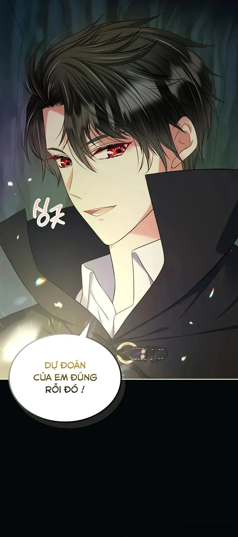 Tôi Sẽ Ly Hôn Với Anh Trai Nữ Chính - Chap 72 - Trang 48