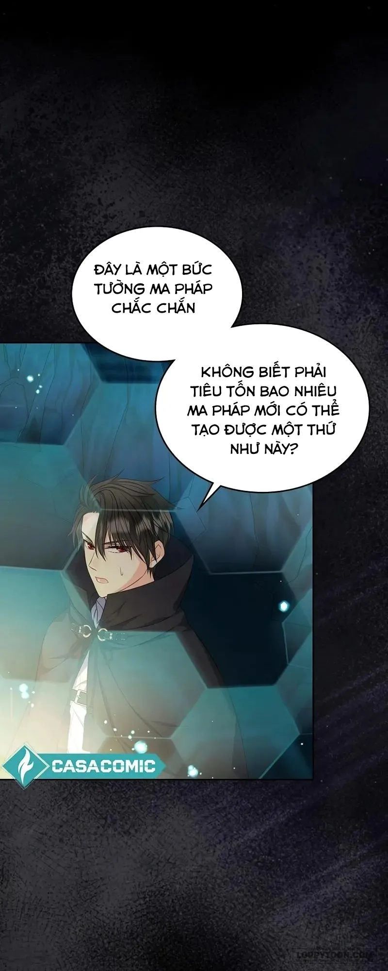 Tôi Sẽ Ly Hôn Với Anh Trai Nữ Chính - Chap 73 - Trang 9