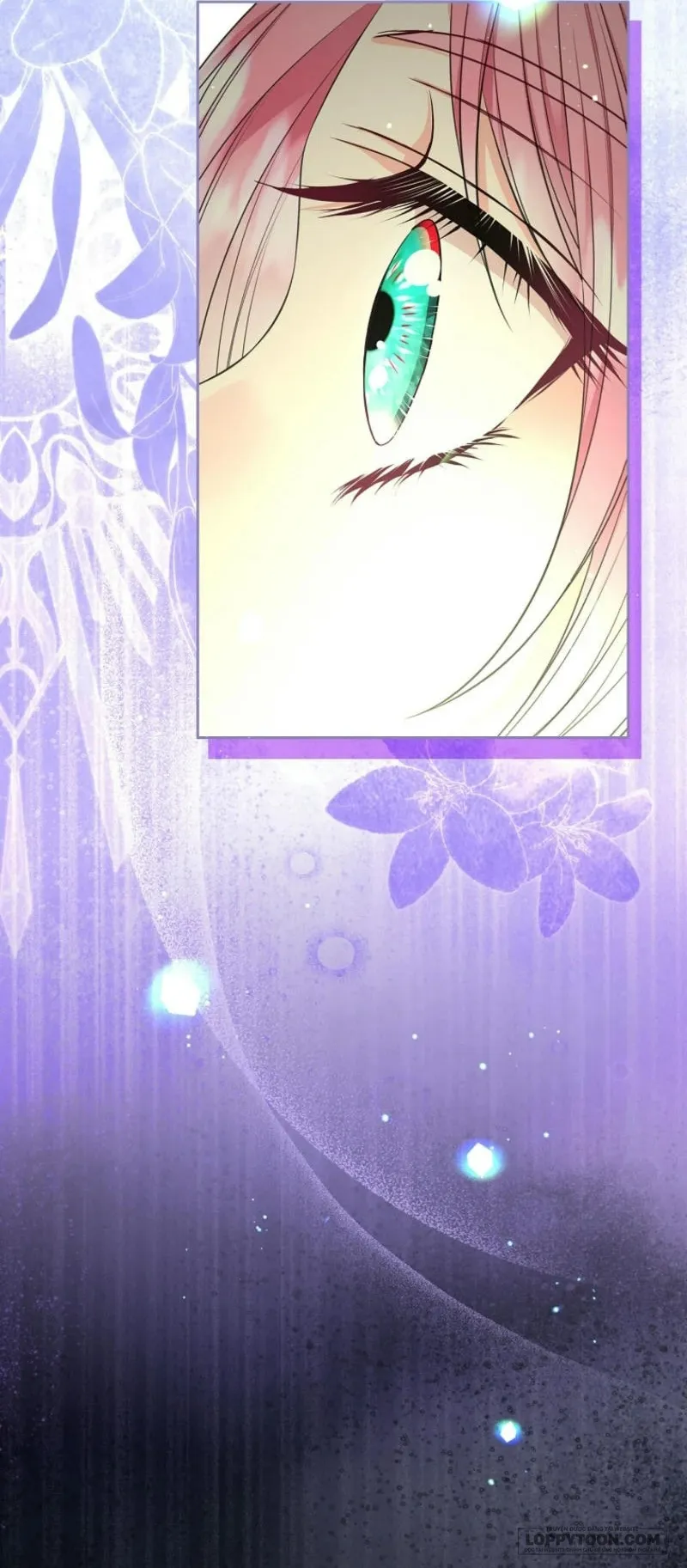 Tôi Sẽ Ly Hôn Với Anh Trai Nữ Chính - Chap 74 - Trang 9