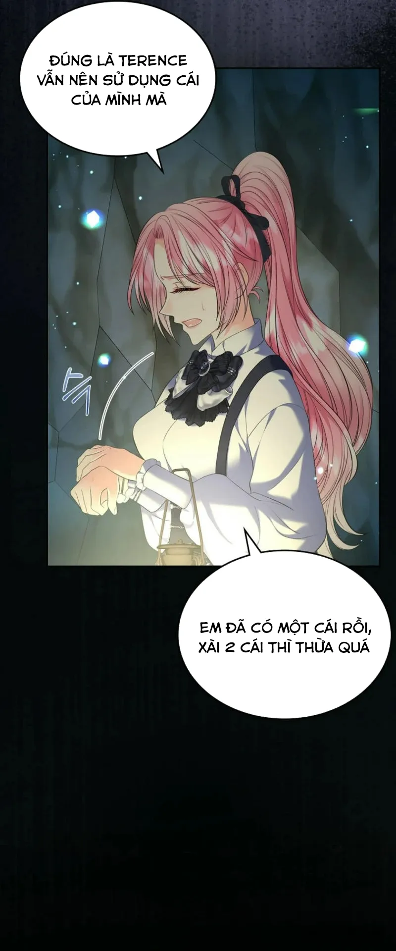 Tôi Sẽ Ly Hôn Với Anh Trai Nữ Chính - Chap 74 - Trang 10