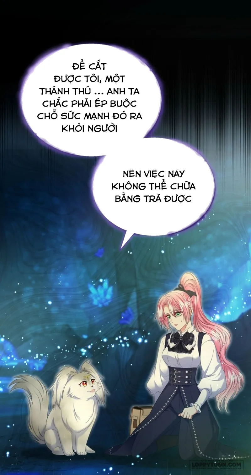 Tôi Sẽ Ly Hôn Với Anh Trai Nữ Chính - Chap 76 - Trang 11