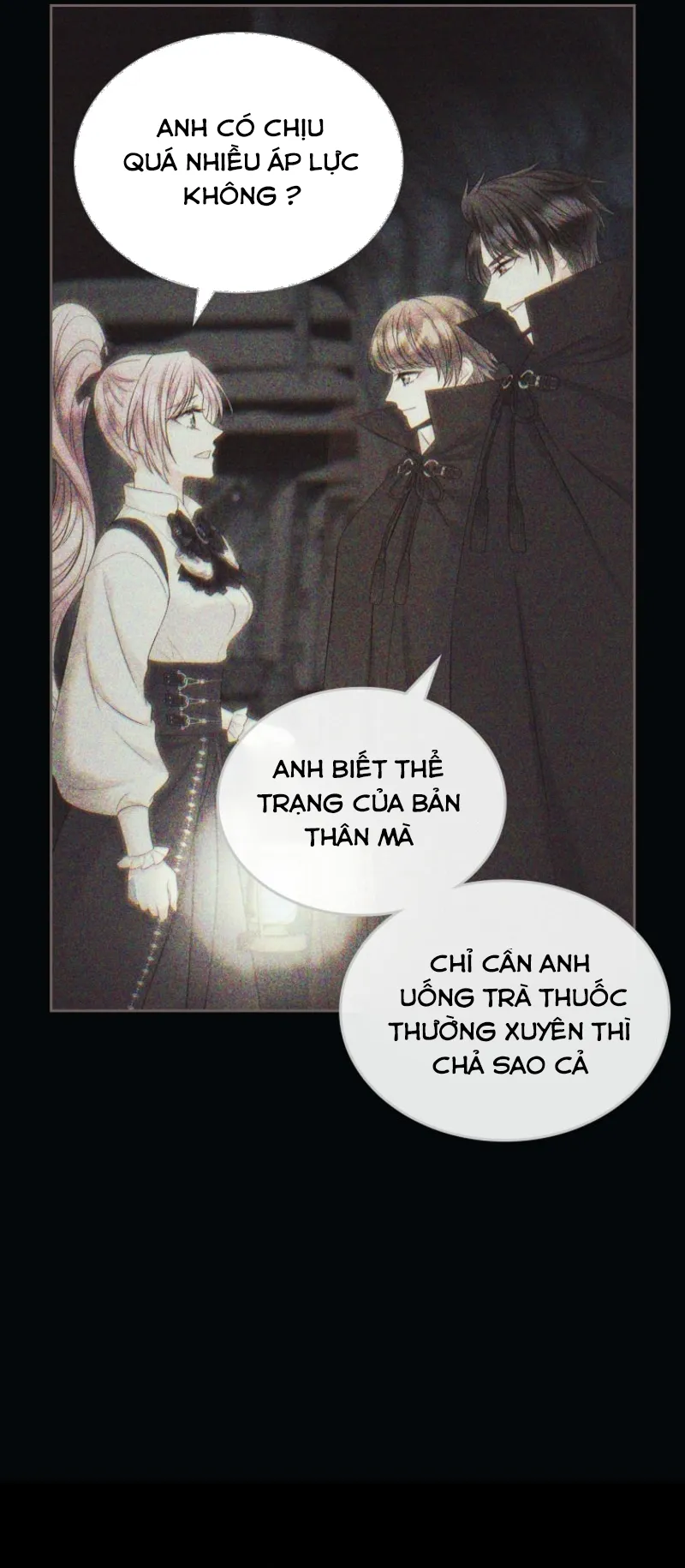 Tôi Sẽ Ly Hôn Với Anh Trai Nữ Chính - Chap 76 - Trang 13