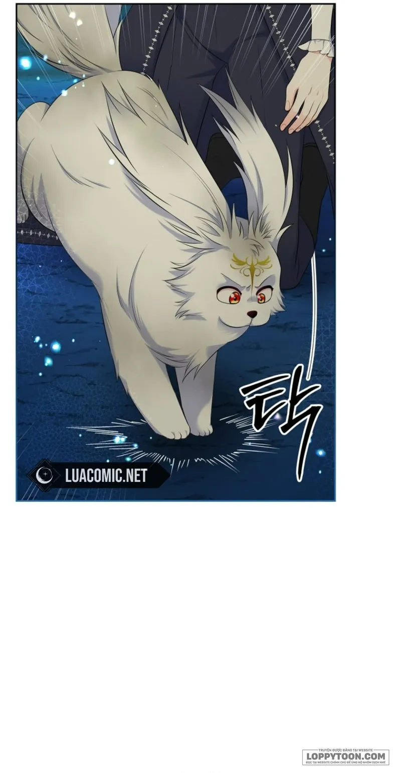 Tôi Sẽ Ly Hôn Với Anh Trai Nữ Chính - Chap 76 - Trang 22