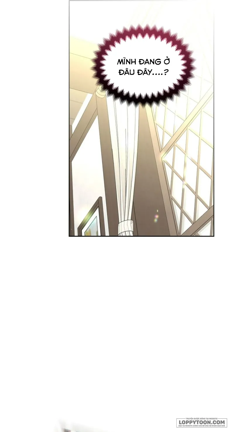 Tôi Sẽ Ly Hôn Với Anh Trai Nữ Chính - Chap 77 - Trang 39