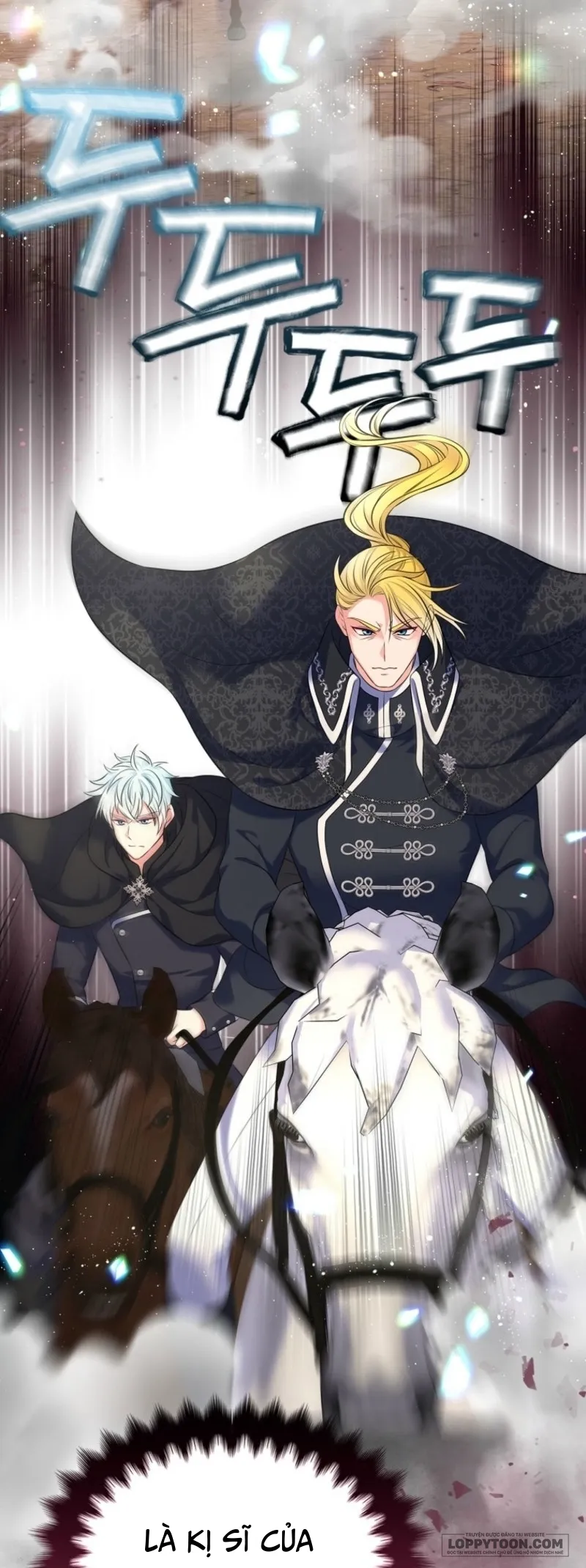 Tôi Sẽ Ly Hôn Với Anh Trai Nữ Chính - Chap 82 - Trang 17