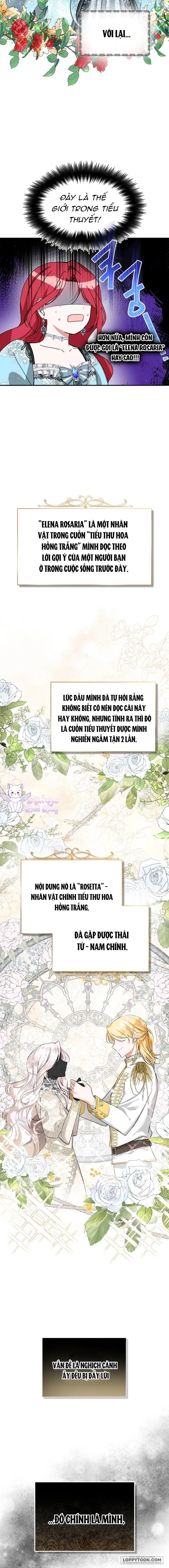 Tôi Sẽ Sống Thử Cuộc Đời Của Ác Nữ - Chap 1 - Trang 12