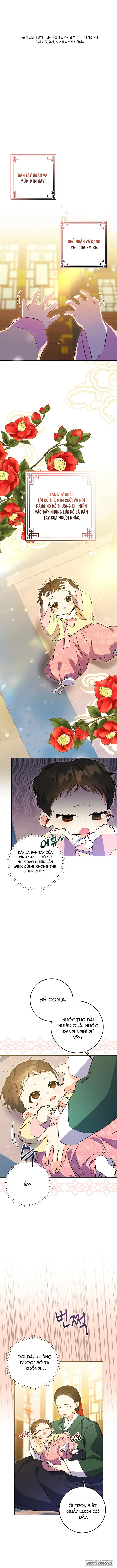 Tôi Sinh Ra Là Con Gái Của Một Cung Phi Hèn Mọn - Chap 1 - Trang 1