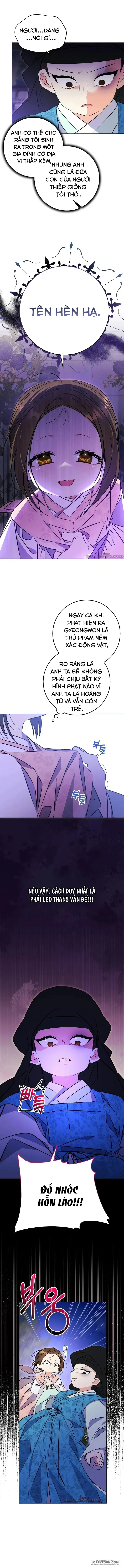 Tôi Sinh Ra Là Con Gái Của Một Cung Phi Hèn Mọn - Chap 20 - Trang 8